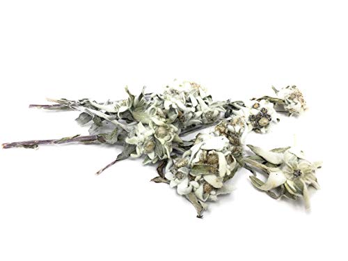 Pure Alpine Edelweiss Flowers - Rare and Delicate Culinary Additions