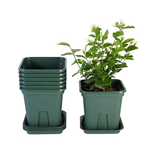 Square Nursery Pots with Drainage Hole for Plants