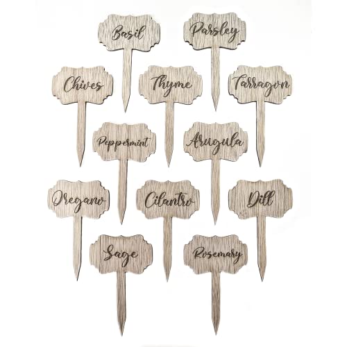12 Pieces Herb Markers Herb Garden T Type Tags Garden and Greenhouse Labels