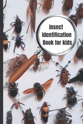 Backyard Bug Book: A Colorful Guide for Young Insect Explorers