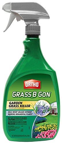Ortho Grass B Gon Garden Grass Killer Ready-to-Use