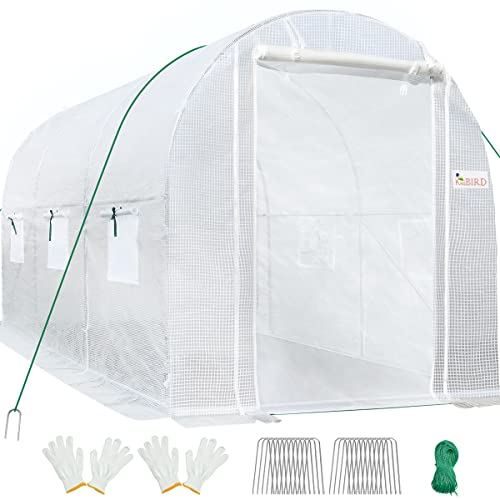 KING BIRD Large Walk-in Greenhouse