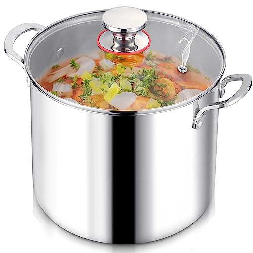 LIANYU 12QT Stainless Steel Stock Pot
