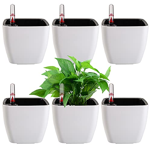 6 Pack Self Watering Planter with Water Level Indicator