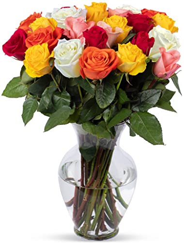 Benchmark Bouquets 24 Stem Rainbow Roses