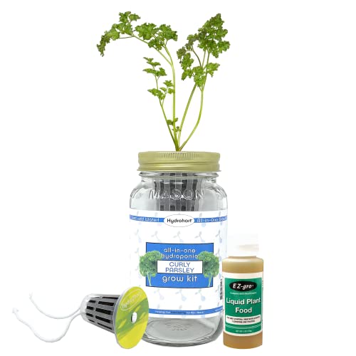 Curly Parsley Herb Growing Kit by Hydrohort