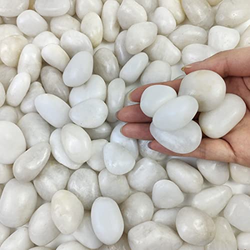 Natural Polished White Pebbles for Plants