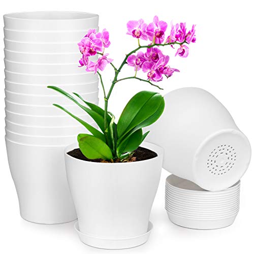 homenote Plant Pots Set - 6 inch Plastic Planters with Drainage Holes and Tray