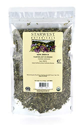 Starwest Botanicals Organic Plantain Leaf