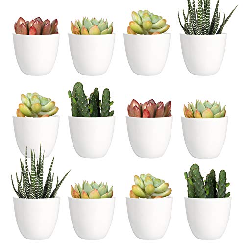 Youngever 24 Pack 2 Inch Mini Plastic Planters
