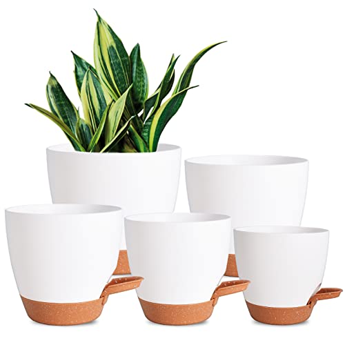 Self Watering Plant Pots for Indoor Plants - 5 Pack