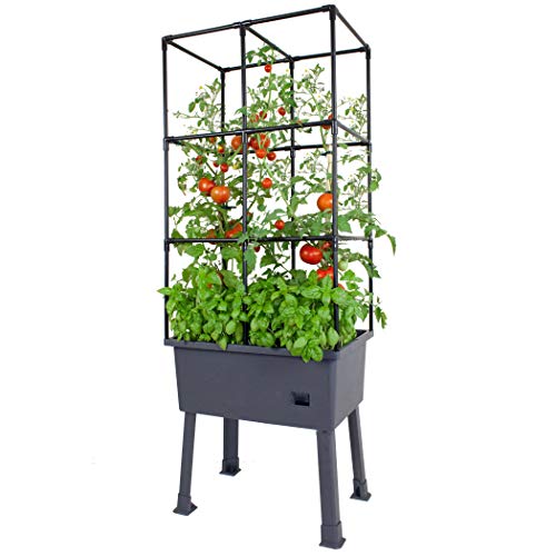 Frame It All Hydroponic Tower with Trellis Frame and Greenhouse Cover