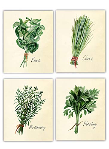 Kitchen Herbs Wall Art Prints