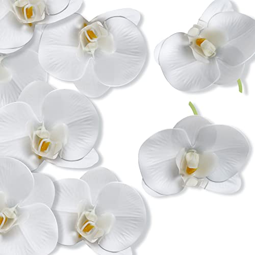 LARDUX Fake Flower Heads - Pack of 20 Artificial Orchid Heads - White