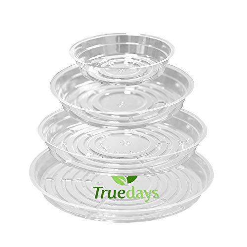 TRUEDAYS Plant Saucers (20 Pack) - Clear Plastic Saucers for Indoor & Outdoor Plants