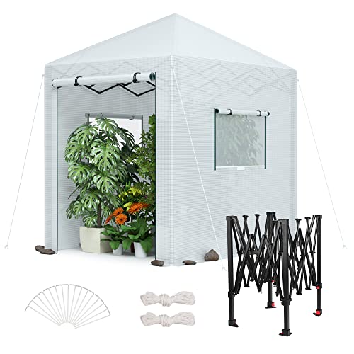 WORKPRO Portable Walk-in Greenhouse