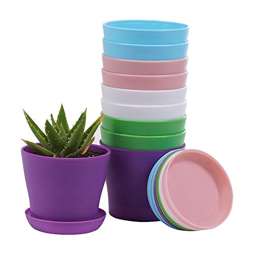 TDHDIKE 10 Pcs Plastic Planters: Mini Flower Seedlings Nursery Flower Pot with Pallet