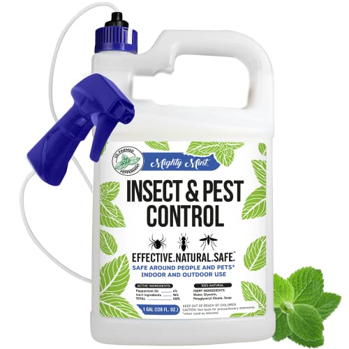 Mighty Mint Gallon Insect and Pest Control Peppermint Oil