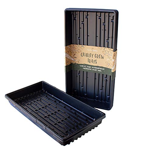 10-Pack Garden Growing Trays with Drain Holes