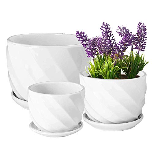 Set of 3 Ceramic Plant Pot