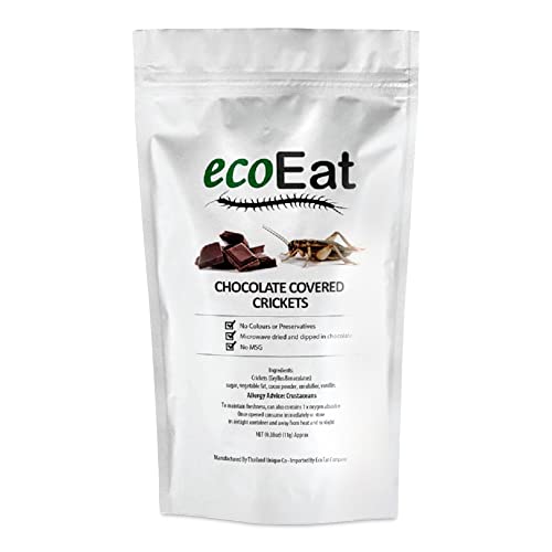 ecoEat Edible Insects Big Crickets Covered in Dark Chocolate