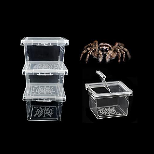 Insect Terrariums Spider Habitat Cage