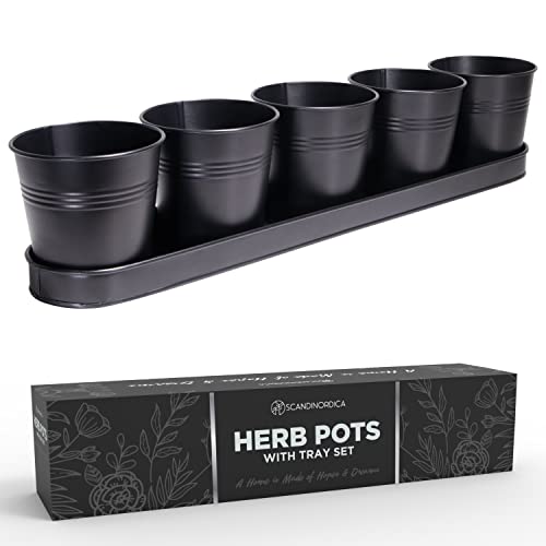 Black Herb Planter with Drainage Holes