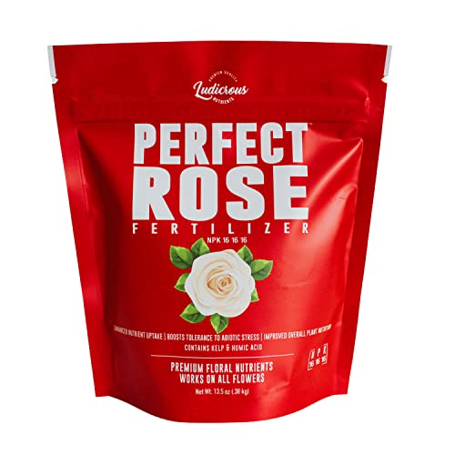 Premium Rose and Flower Fertilizer