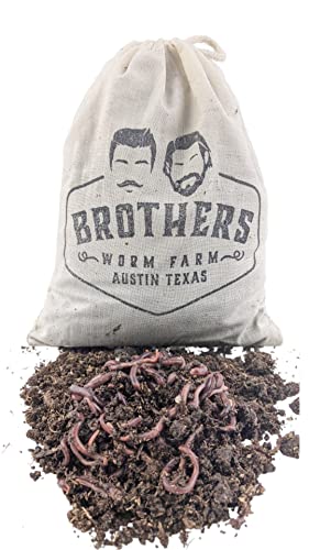 Brothers Worm Farm - Live Red Wiggler Composting Worm Mix