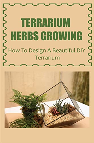 Design a Beautiful DIY Terrarium with Terrarium Herbs Growing