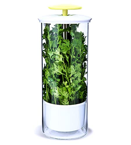 NOVART XXL Herb Keeper and Herb Saver - Keep Your Herbs Fresh for Weeks