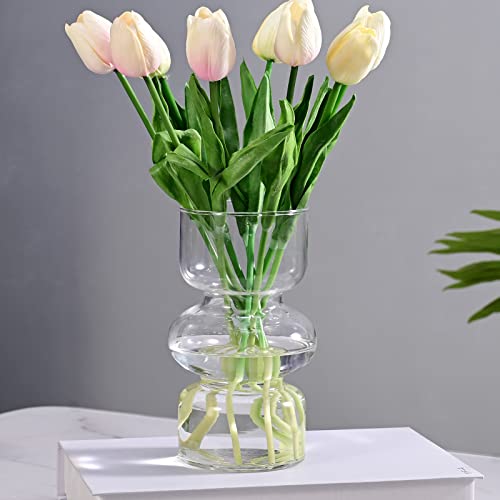 LiteViso Clear Vases for Decor