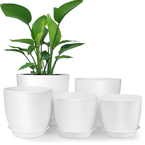 homenote Plastic Planter - Modern Decorative Pots for Plants