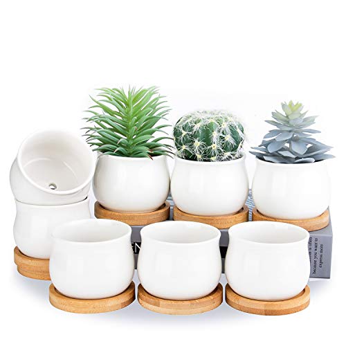 SHECIPIN Succulent Plant Pot Pack of 8