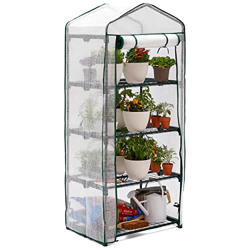 BRAMBLE 4 Tier Mini Greenhouse