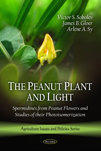 The Peanut Plant and Light: Spermidines and Their Impact on Plant Growth