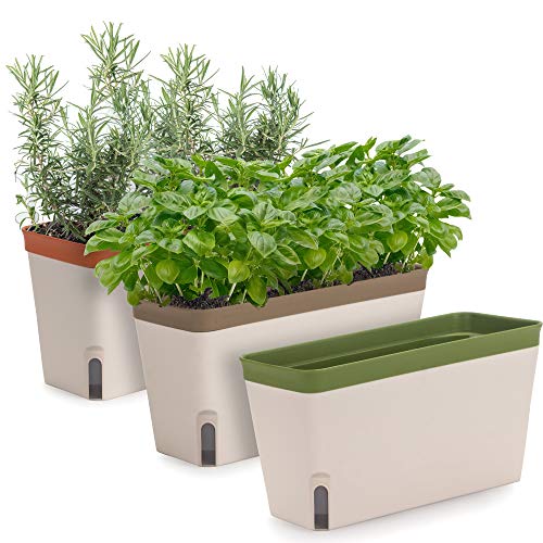 Window Herb Planter Box - Self-Watering Indoor Garden for Kitchens