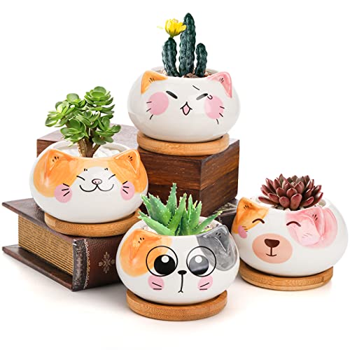 4 Pack Cat Succulent Planter Pot with Bamboo Tray