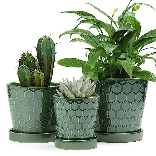 EFISPSS Ceramic Plant Pots - Set of 3