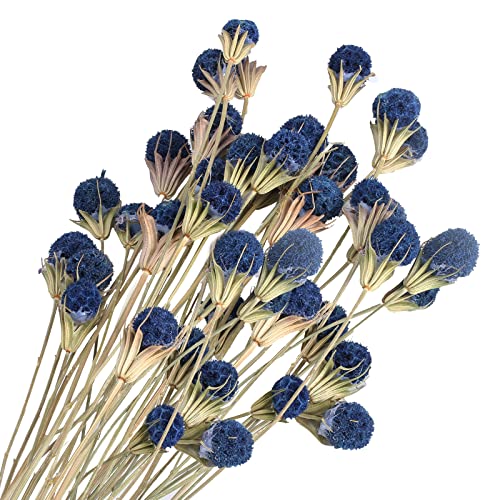 XHXSTORE Blue Dried Flowers Bouquet for Home Decor and Events