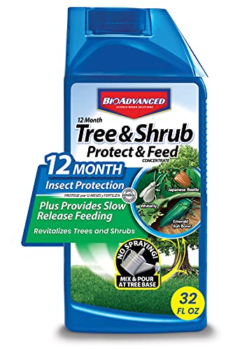 BioAdvanced 12-Month Tree and Shrub Protect and Feed Insect Killer and Fertilizer