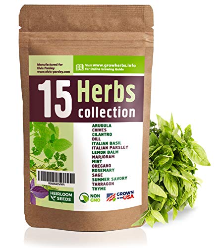 15 Culinary Herb Seeds Variety for Indoor or Outdoor Garden