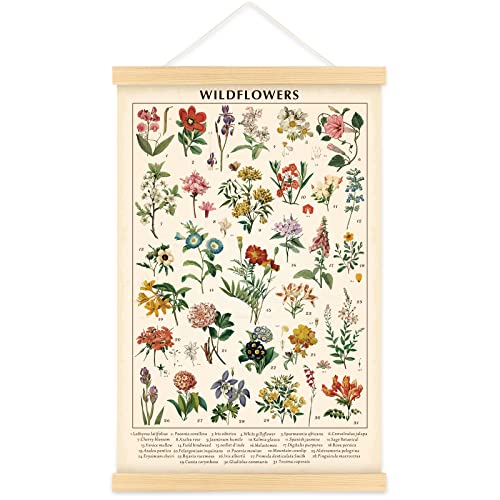 Vintage Wildflowers Wall Art Prints