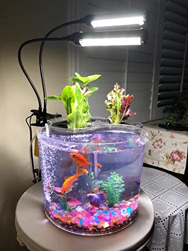 Aquaponic Indoor Gardening Ecosystem with LED Grow Lights