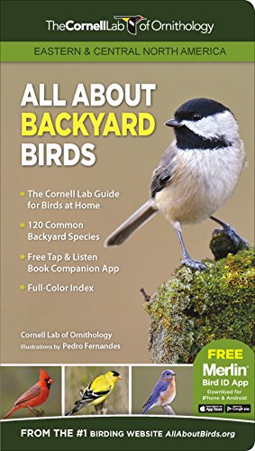 Backyard Birds of Eastern & Central: A Comprehensive Guide