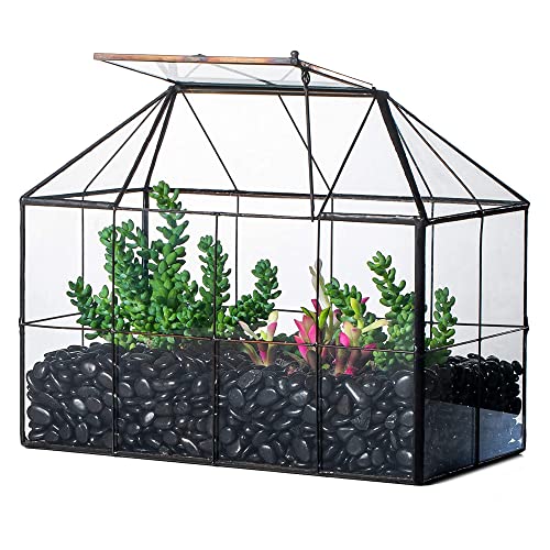 Black Glass Terrarium Planter with Swing Lid