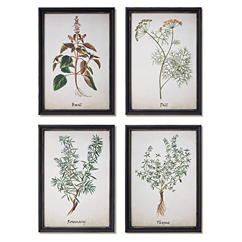 NELONY Vintage Herbs Kitchen Wall Art Prints Decor