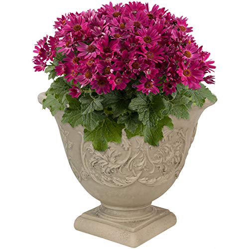 Sunnydaze Darcy 16-Inch Resin Planter Pot