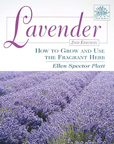 Lavender: Growing and Using the Fragrant Herb
