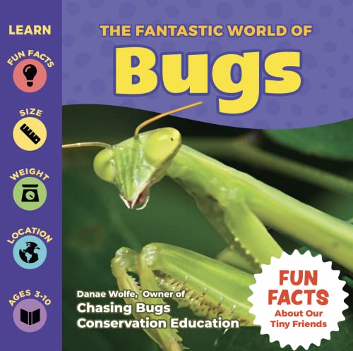 Children's Insect Book About Bugs